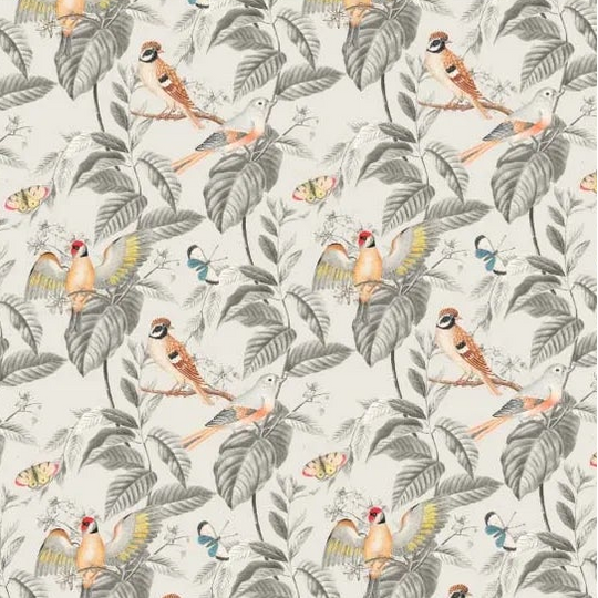 Pareo - Birds of Paradise